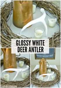 Glossy White Deer Antler | LITTLE RED BRICK HOUSE